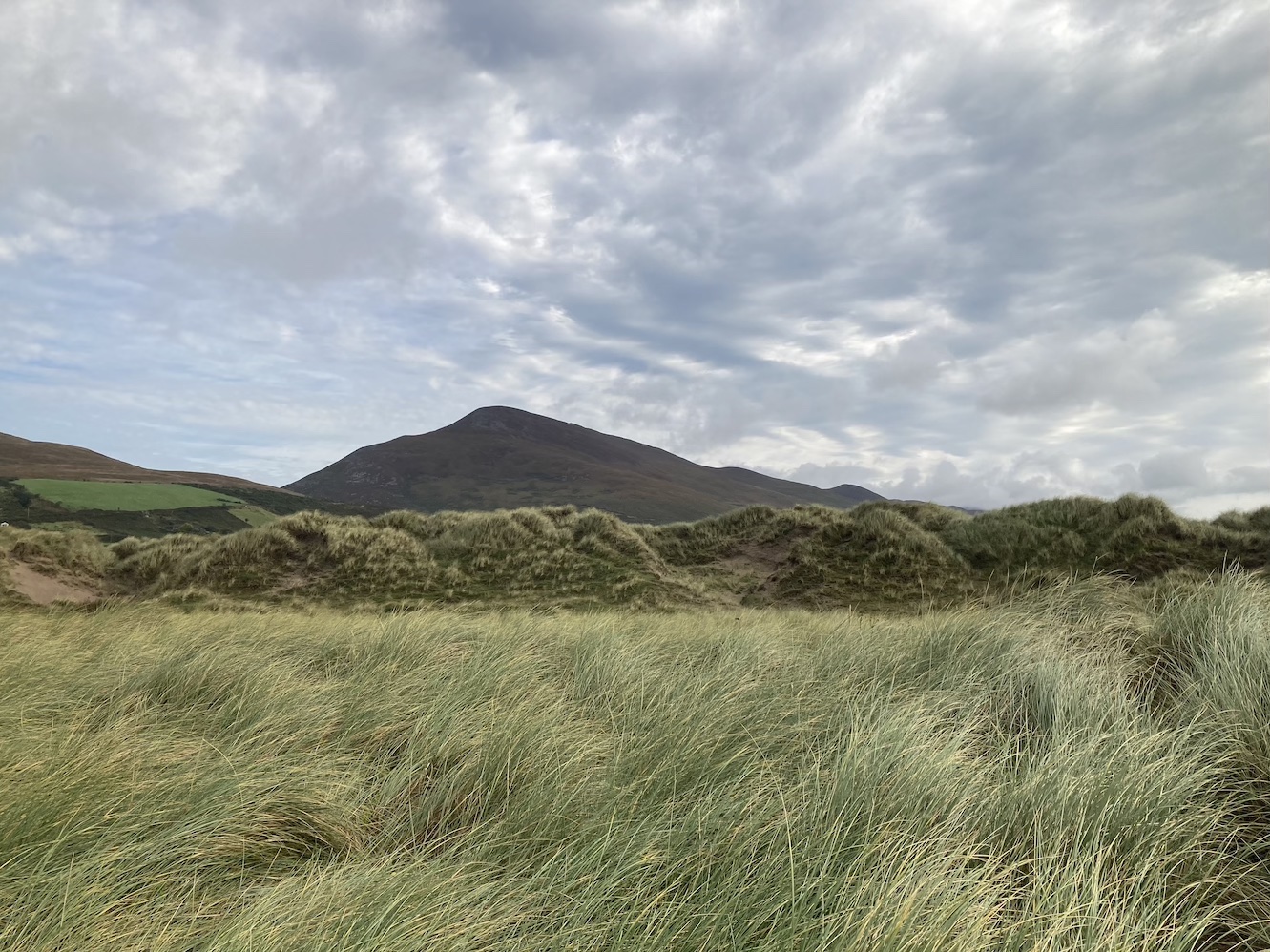 Inch Beach Dunes (Ireland)